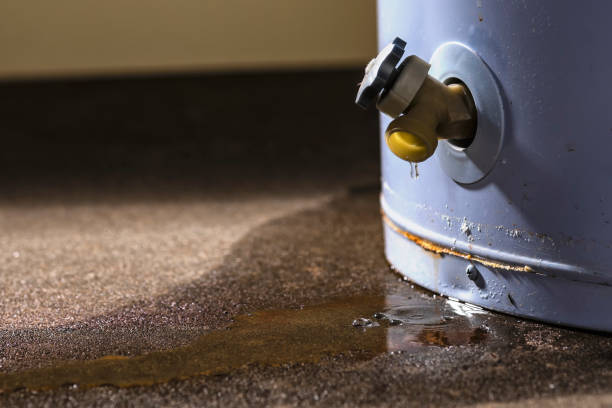 Best Water damage contractors near me  in Carrabelle, FL