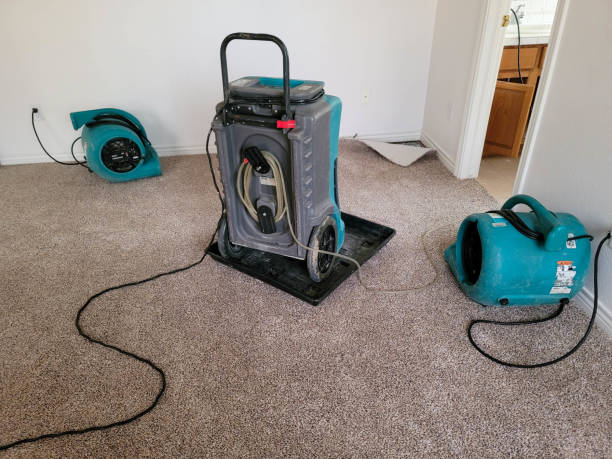 Best Water damage contractors near me  in Carrabelle, FL