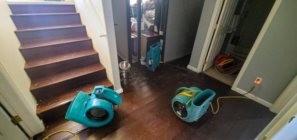 Best Sewage cleanup and water damage restoration  in Carrabelle, FL