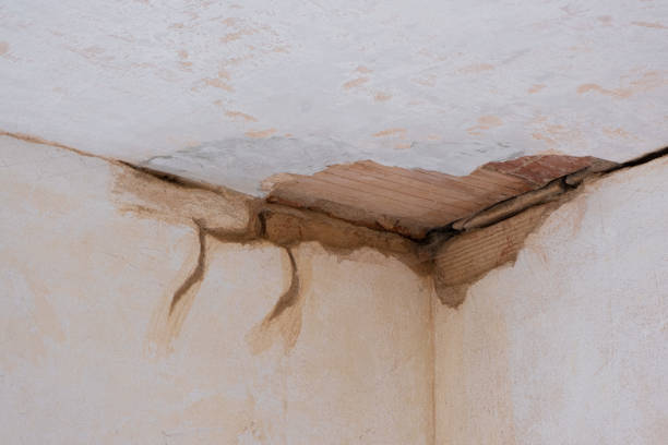 Best Basement water damage restoration  in Carrabelle, FL