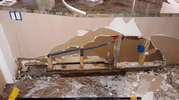 Best Water damage restoration services  in Carrabelle, FL