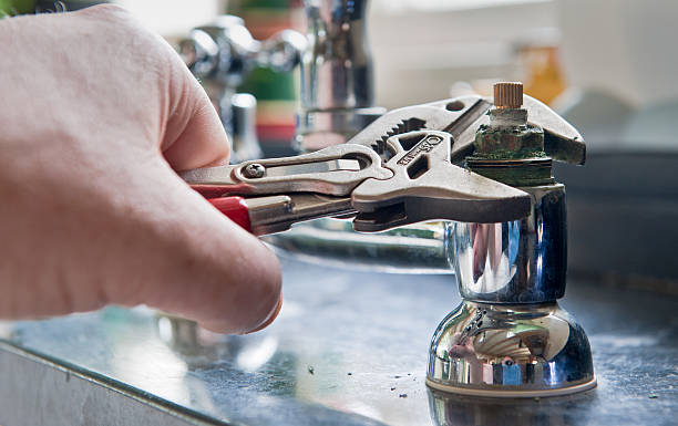 Best Water damage cleanup near me  in Carrabelle, FL
