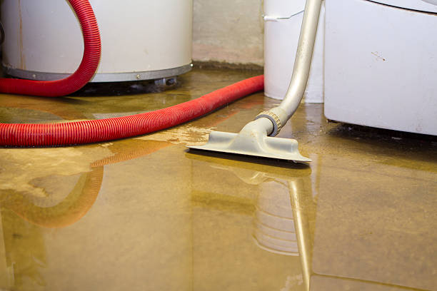 Best Ceiling water damage repair  in Carrabelle, FL