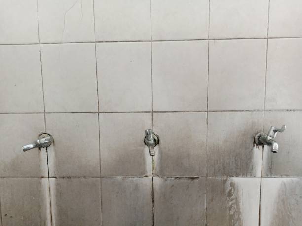 Carrabelle, FL Water damage restoration Company