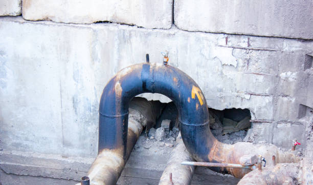 Carrabelle, FL Water damage restoration Pros