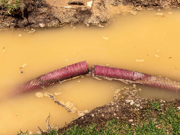 Best Water damage restoration near me  in Carrabelle, FL