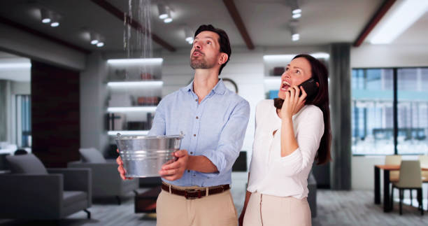 Best Fire Damage Restoration  in Carrabelle, FL