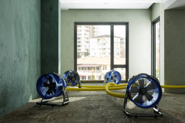 Best 24-hour water damage restoration  in Carrabelle, FL