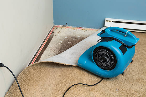 Best 24-hour water damage restoration  in Carrabelle, FL